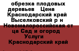 обрезка плодовых деревьев › Цена ­ 50 - Краснодарский край, Выселковский р-н, Новомалороссийская ст-ца Сад и огород » Услуги   . Краснодарский край